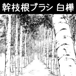 This is a pixiv picture whose title is 幹枝根ブラシ_白樺.
