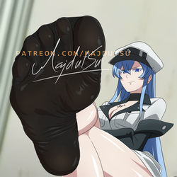 This is a pixiv picture whose title is Esdeath Feet.