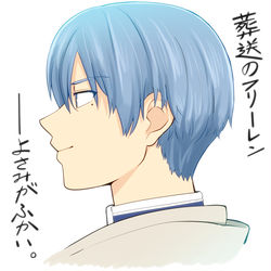 This is a pixiv picture whose title is 葬送のフリーレン見た.