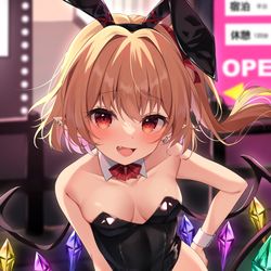 This is a pixiv picture whose title is バニーフランちゃん.