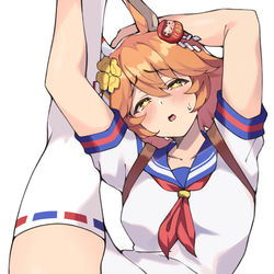 This is a pixiv picture whose title is マチカネフクキタル.
