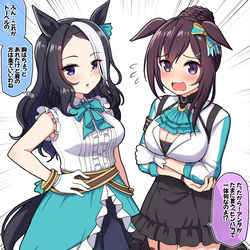 This is a pixiv picture whose title is メジロのヒンバ(？)同士の勝負服交換.