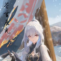 This is a pixiv picture whose title is Snow & flash|苍雪飞光⑵.