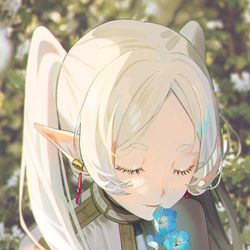 This is a pixiv picture whose title is 葬送のフリーレン.