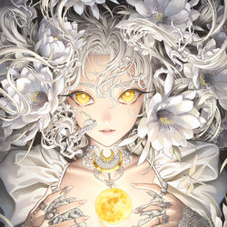 This is a pixiv picture whose title is 月華.