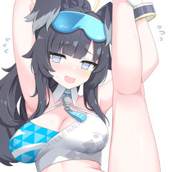 This is a pixiv picture whose title is hibiki.