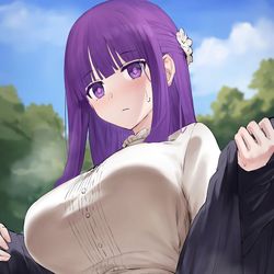 This is a pixiv picture whose title is フェルン.