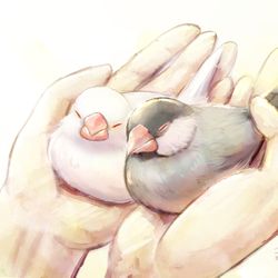This is a pixiv picture whose title is 手にしあわせ.