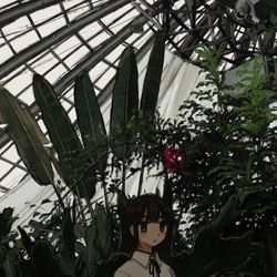 This is a pixiv picture whose title is 雨の日の温室.
