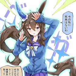 This is a pixiv picture whose title is スーパーアドマイヤベガカーディガンフォーム.
