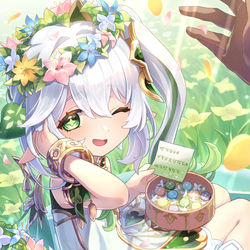 This is a pixiv picture whose title is お誕生日おめでとうナヒーダ！.