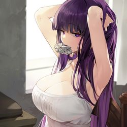 This is a pixiv picture whose title is フェルン.
