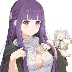 This is a pixiv picture whose title is フェルン.