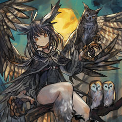 This is a pixiv picture whose title is 梟.