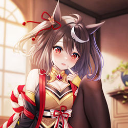 This is a pixiv picture whose title is キタサンブラック.