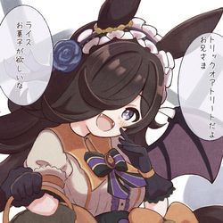 This is a pixiv picture whose title is ハロウィンライスちゃん.