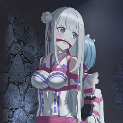 This is a pixiv picture whose title is [COM] emilia and rem.