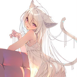 This is a pixiv picture whose title is 白猫ちゃん.