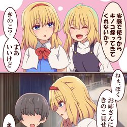 This is a pixiv picture whose title is お使いを頼まれるアリス.
