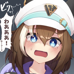 This is a pixiv picture whose title is シュヴァルちゃんにホラゲーやらせて観察したい.