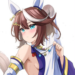This is a pixiv picture whose title is テイオーさん新衣装.