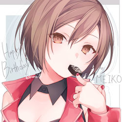 This is a pixiv picture whose title is MEIKO.