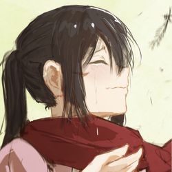 This is a pixiv picture whose title is ミカサ.