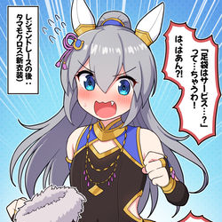 This is a pixiv picture whose title is レジェンドレースの後：タマモクロス(新衣装).