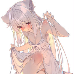 This is a pixiv picture whose title is 白猫ちゃん.