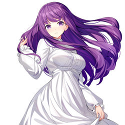 This is a pixiv picture whose title is フェルン.