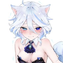 This is a pixiv picture whose title is 猫耳バニーフリーナ.