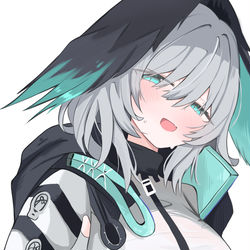 This is a pixiv picture whose title is アークナイツ ホルハイヤ.