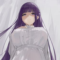 This is a pixiv picture whose title is フェルン.