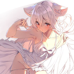 This is a pixiv picture whose title is 白猫ちゃん.