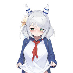 This is a pixiv picture whose title is JK.