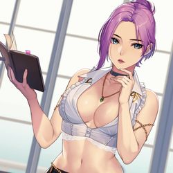 This is a pixiv picture whose title is エリーゼ(DOA).