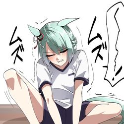 This is a pixiv picture whose title is フジマサマーチと五本指ソックス.