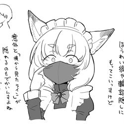This is a pixiv picture whose title is Conceal.