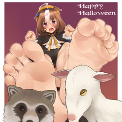 This is a pixiv picture whose title is ウマ娘足裏.