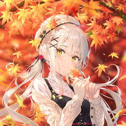This is a pixiv picture whose title is 秋色に染まる.