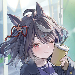 This is a pixiv picture whose title is キタサンブラック.