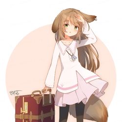 This is a pixiv picture whose title is ケモ耳女の子.