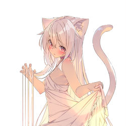 This is a pixiv picture whose title is 白猫ちゃん.