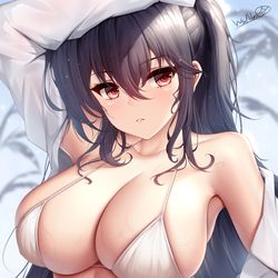 This is a pixiv picture whose title is 大凤.