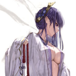 This is a pixiv picture whose title is 雷電将軍.