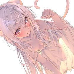 This is a pixiv picture whose title is 白猫ちゃん.