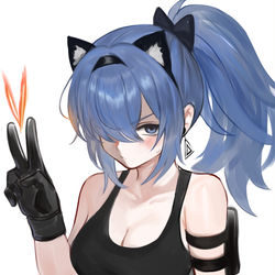 This is a pixiv picture whose title is V.