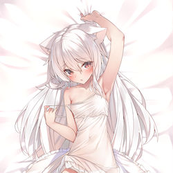 This is a pixiv picture whose title is 白猫ちゃん.