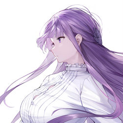 This is a pixiv picture whose title is フェルン.