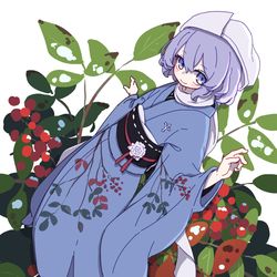 This is a pixiv picture whose title is 南天.